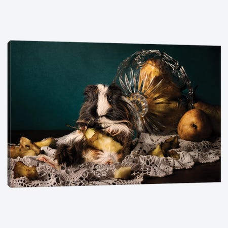 Still Life Gone Wrong - The Guinea Pig Canvas Print #ODT12} by Oddball Tails Canvas Wall Art