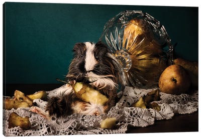 Still Life Gone Wrong - The Guinea Pig Canvas Art Print - Oddball Tails