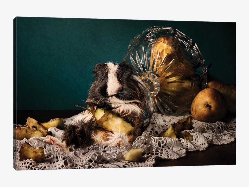 Still Life Gone Wrong - The Guinea Pig by Oddball Tails 1-piece Art Print