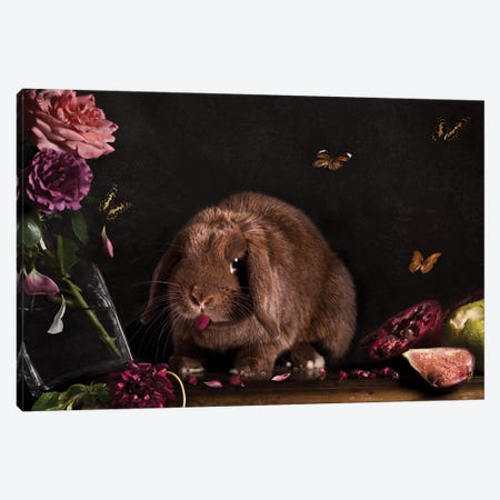 Still Life Gone Wrong - The Rabbit Canvas Print #ODT13} by Oddball Tails Canvas Artwork