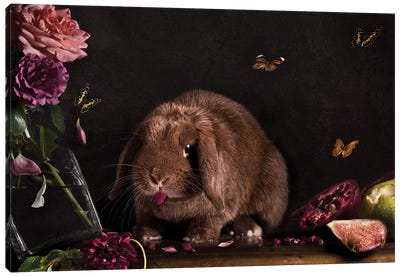 Still Life Gone Wrong - The Rabbit Canvas Art Print - Oddball Tails
