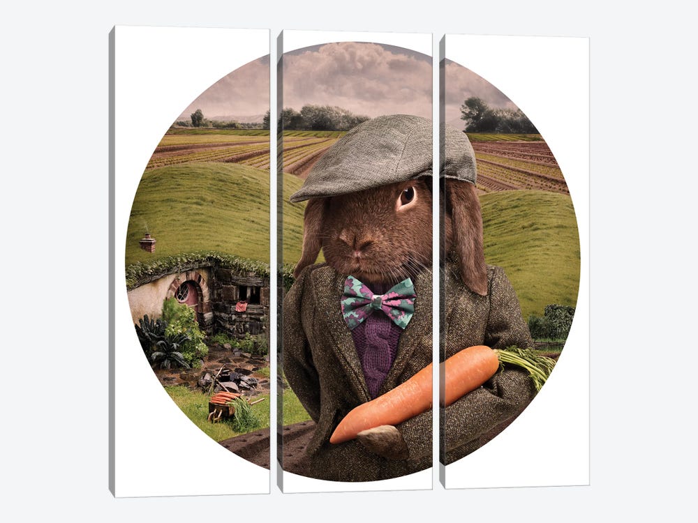 The Carrot Farmer by Oddball Tails 3-piece Canvas Artwork