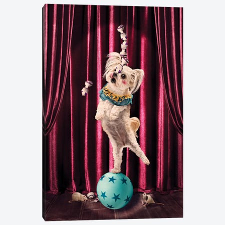 The Clown Canvas Print #ODT16} by Oddball Tails Canvas Print