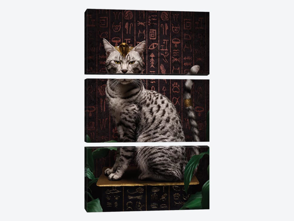 The Egyptian Mau by Oddball Tails 3-piece Canvas Artwork