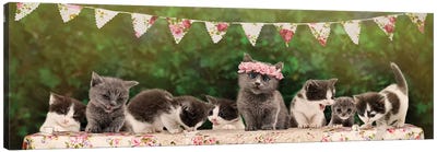 The Kitten Tea Party Canvas Art Print - Oddball Tails