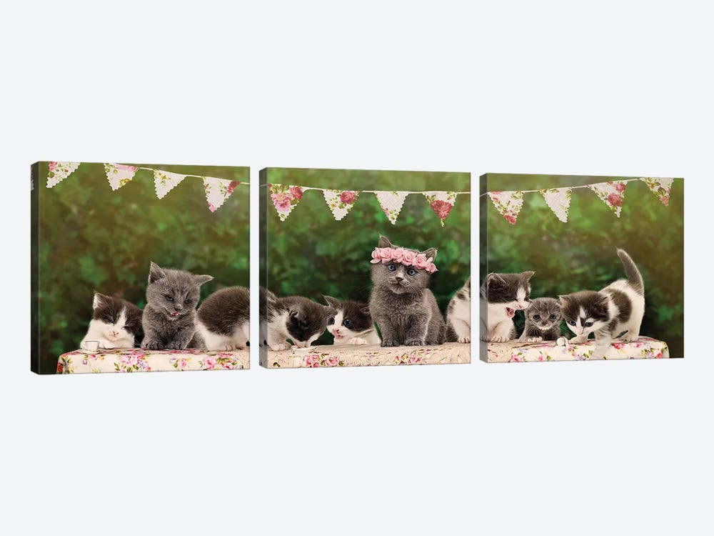 The Kitten Tea Party by Oddball Tails 3-piece Art Print