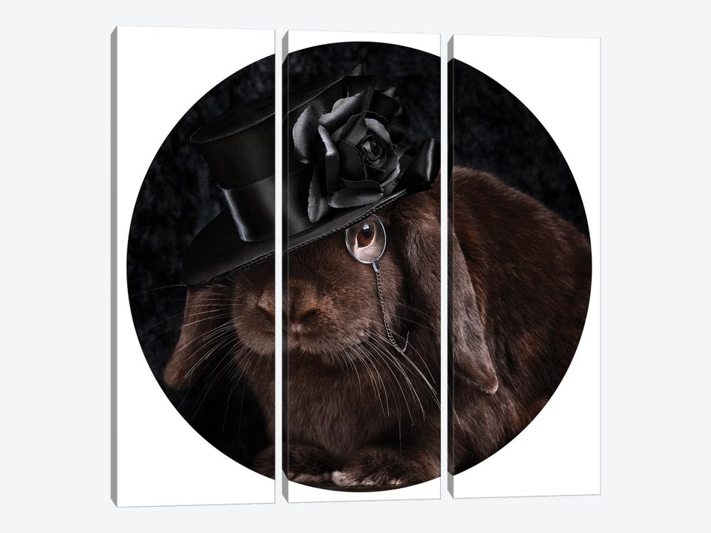 The Rabbit Ring Master by Oddball Tails 3-piece Canvas Art Print