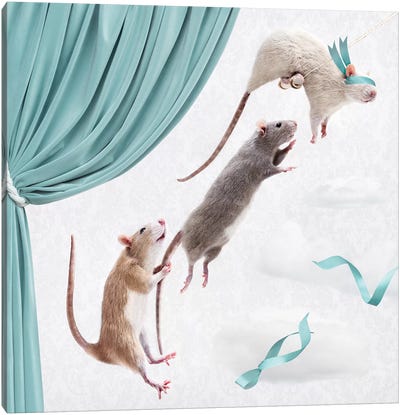 The Ratty Trapeze Artists Canvas Art Print - Oddball Tails