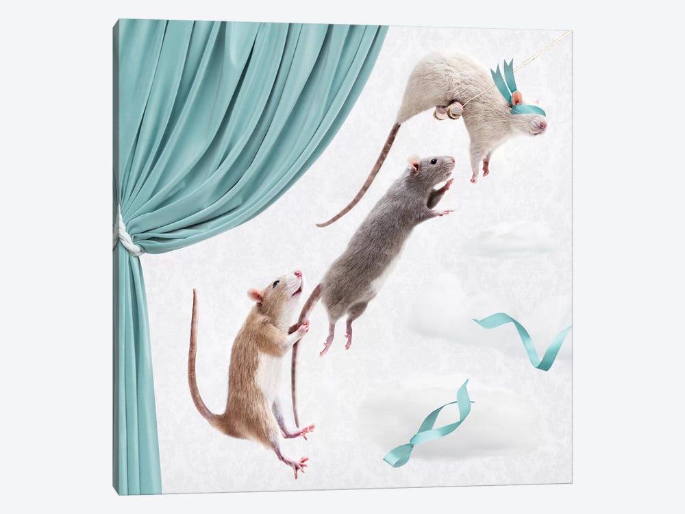 The Ratty Trapeze Artists by Oddball Tails 1-piece Canvas Wall Art