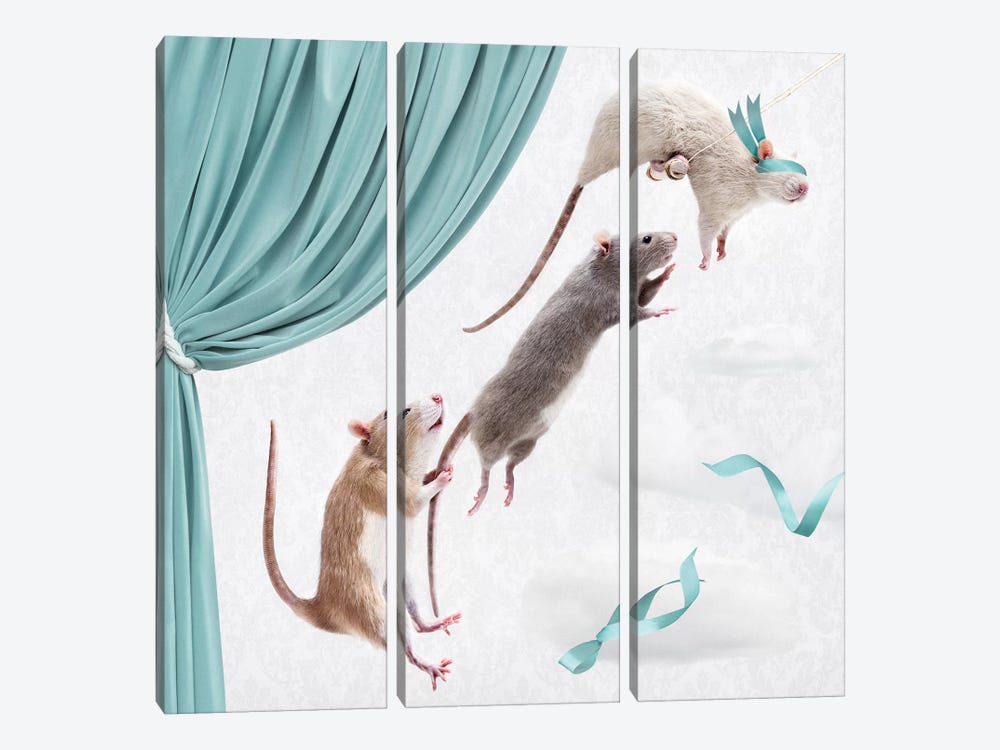 The Ratty Trapeze Artists by Oddball Tails 3-piece Canvas Wall Art