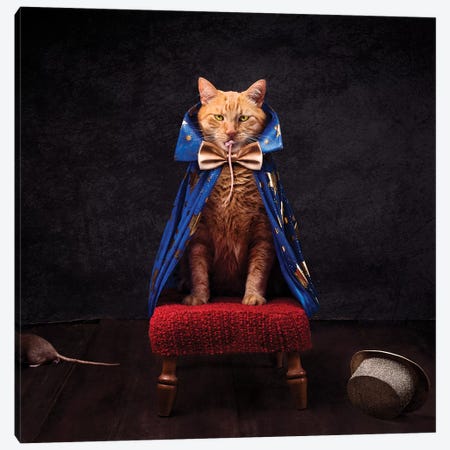 The Wicked Magician Canvas Print #ODT31} by Oddball Tails Canvas Art