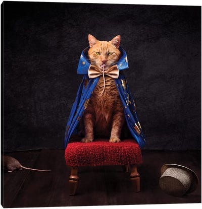 The Wicked Magician Canvas Art Print - Oddball Tails
