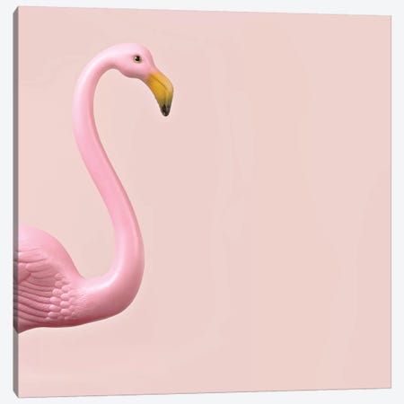 Flamingo Canvas Print #ODT4} by Oddball Tails Canvas Art Print