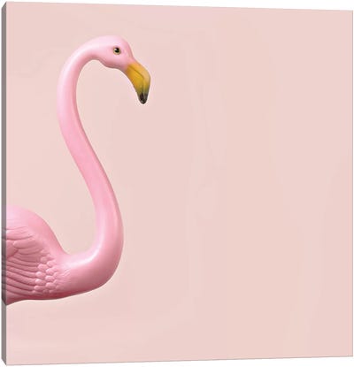 Flamingo Canvas Art Print - Oddball Tails