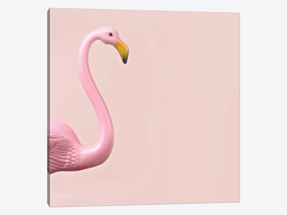 Flamingo by Oddball Tails 1-piece Canvas Art Print