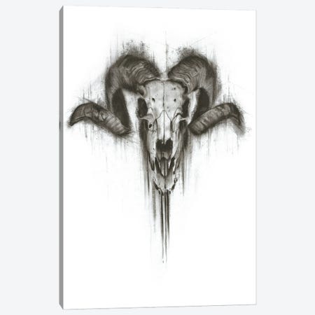 Skull Canvas Print #OEK23} by Denny Stoekenbroek Canvas Print