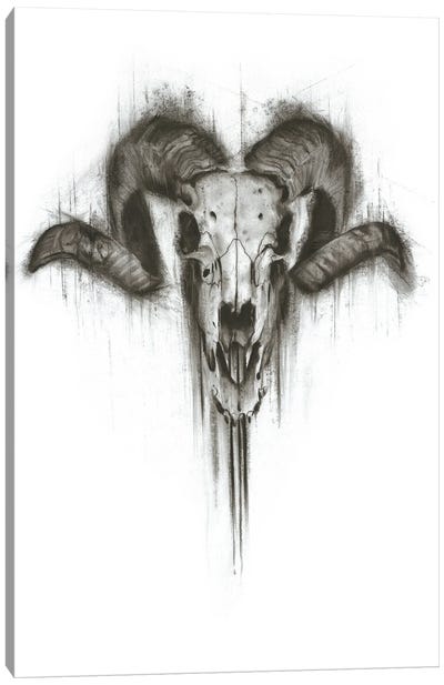 Skull Canvas Art Print - Denny Stoekenbroek