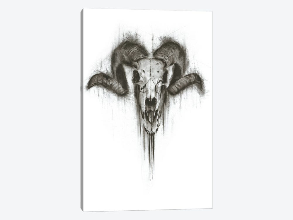 Skull by Denny Stoekenbroek 1-piece Canvas Wall Art