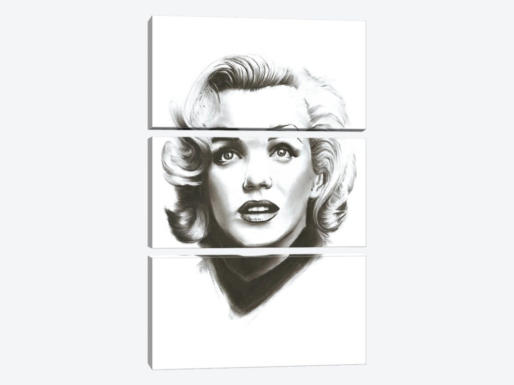 Marilyn by Denny Stoekenbroek 3-piece Canvas Artwork