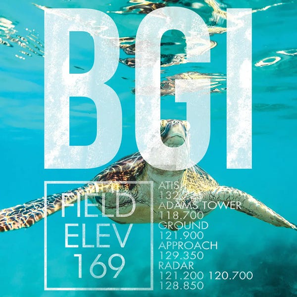 Airports: BGI Live by 08 Left