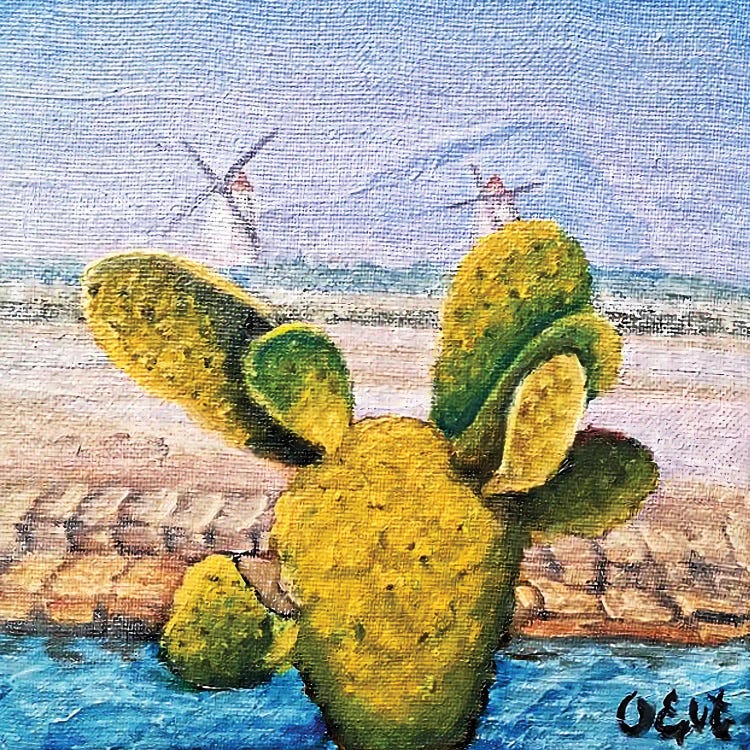 Cactus, Salt And Windmills. Marsala, Sicily