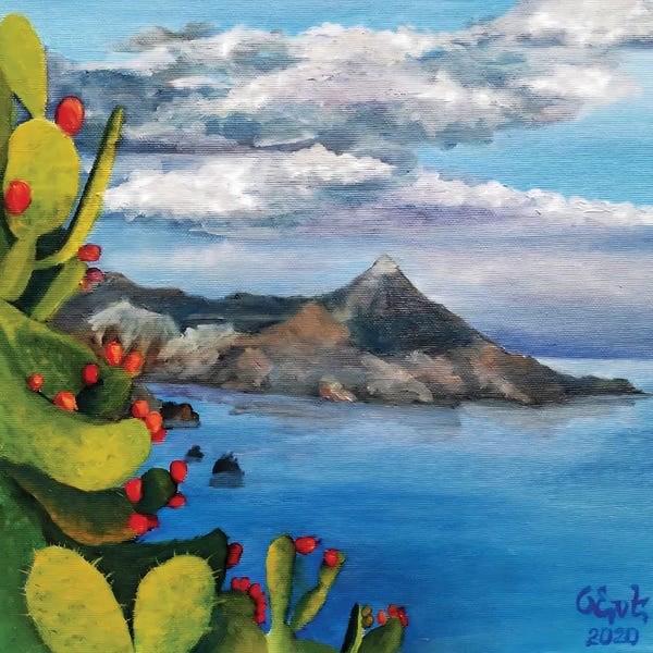 Landscapes In Bloom: Cactus. View Of Palermo by Oksana Evteeva