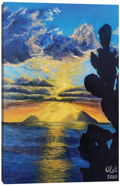 Cactus. Sicilian Sunset Canvas Art Print - Sicily