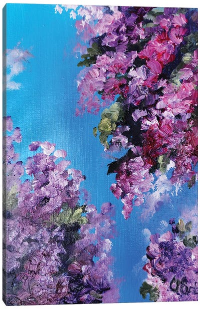 Purple Bougainvillea Canvas Art Print - Oksana Evteeva