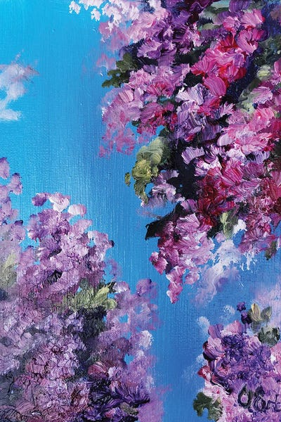 Spring: Purple Bougainvillea by Oksana Evteeva