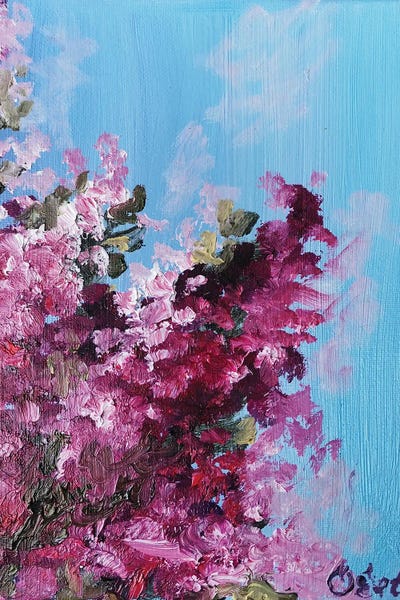 Spring: Burgundy Bougainvillaea by Oksana Evteeva