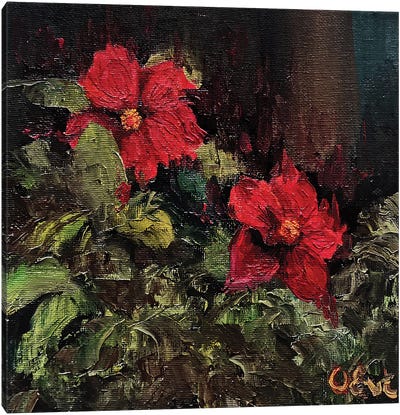 Red Hibiscus. Plein-Air Canvas Art Print - Oksana Evteeva
