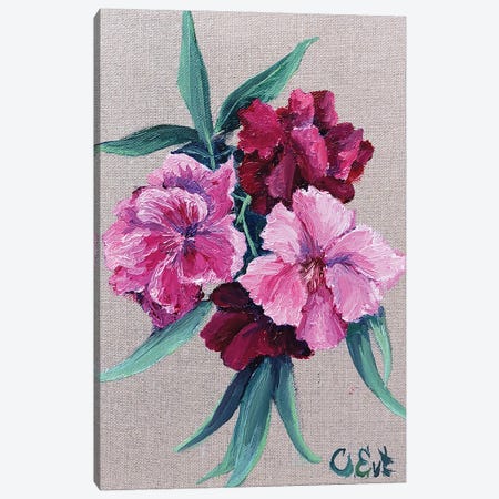 Oleander. Plein-Air Canvas Print #OEV28} by Oksana Evteeva Canvas Wall Art