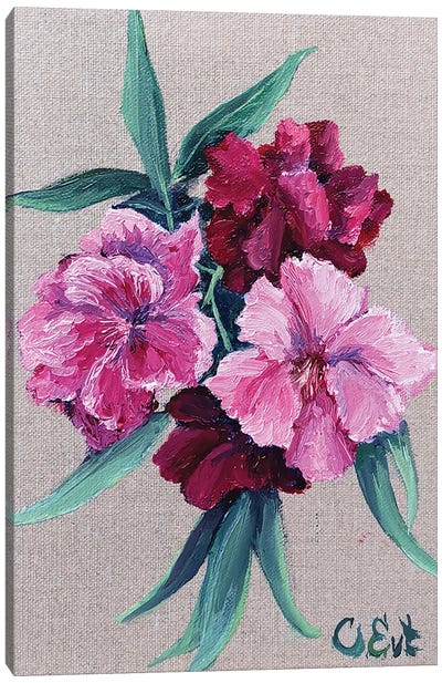 Oleander. Plein-Air Canvas Art Print - Oksana Evteeva
