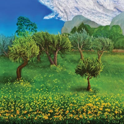 Olive Grove In Spring. Sicily by Oksana Evteeva framed wall art