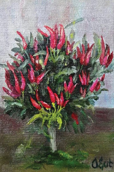 Oksana Evteeva: Chilli Peppers. Plein-Air by Oksana Evteeva