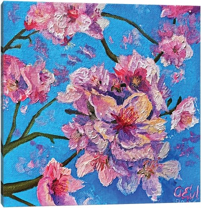 Almond Blossom Canvas Art Print - Oksana Evteeva