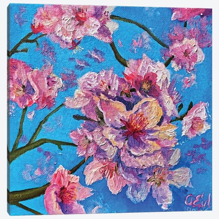 Almond Blossom Canvas Print #OEV32} by Oksana Evteeva Canvas Art Print