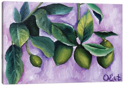 Green Lemons Canvas Art Print - Oksana Evteeva