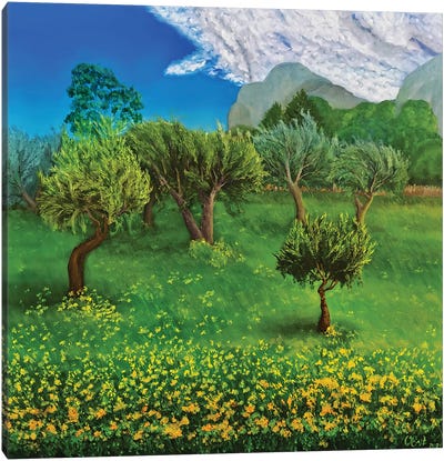 Olive Grove In Spring. Sicily Canvas Art Print - Oksana Evteeva