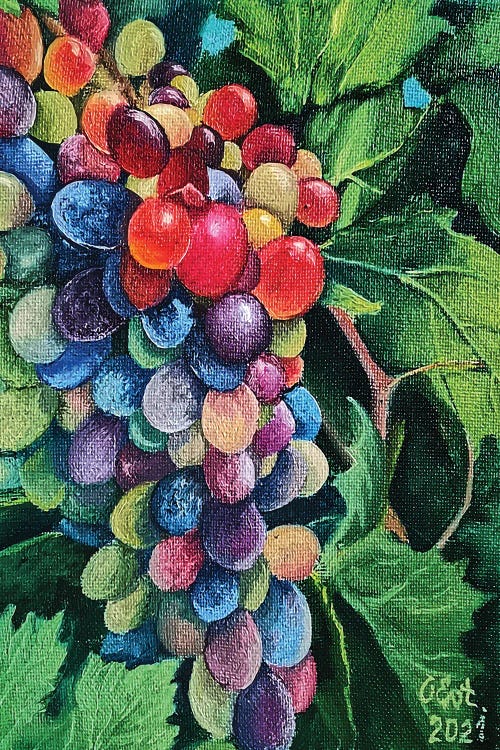 Sunny Grapes