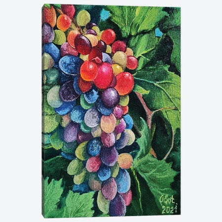 Sunny Grapes Canvas Print #OEV40} by Oksana Evteeva Canvas Artwork