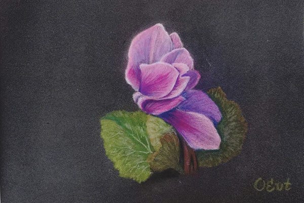 Oksana Evteeva: Sicilian Cyclamen From Life by Oksana Evteeva