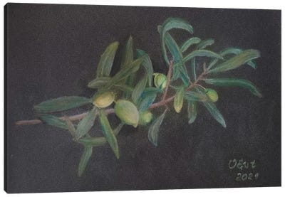 Olive Branch Canvas Art Print - Vegetable Art