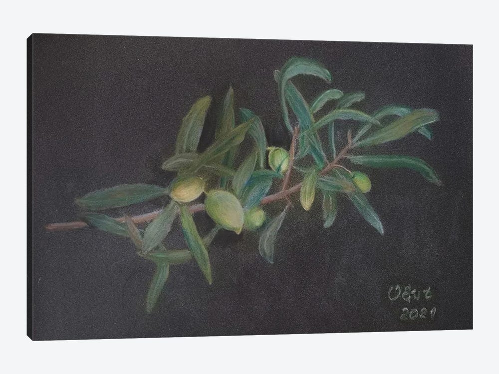 Olive Branch by Oksana Evteeva 1-piece Canvas Art