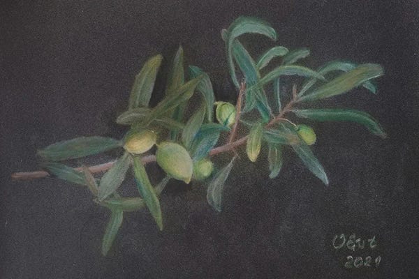 Food & Drink Still Life: Olive Branch by Oksana Evteeva