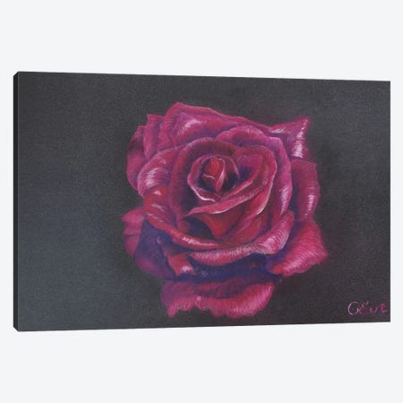 Perfect Velvet Burgundy Rose Canvas Print #OEV51} by Oksana Evteeva Art Print