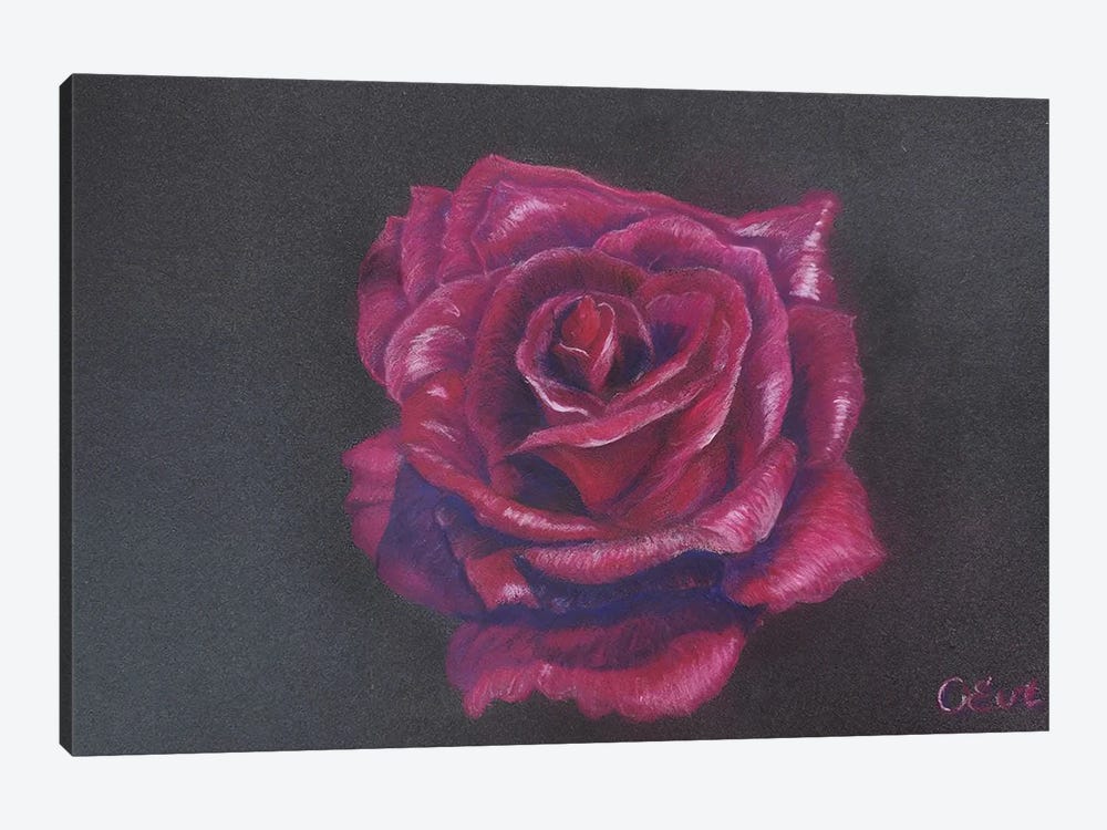 Perfect Velvet Burgundy Rose by Oksana Evteeva 1-piece Canvas Art Print