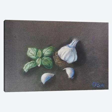 Garlic And Basil From Life Canvas Print #OEV53} by Oksana Evteeva Canvas Print