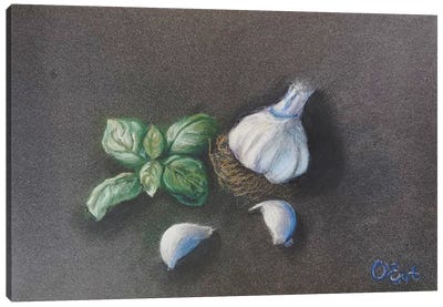 Garlic And Basil From Life Canvas Art Print - Oksana Evteeva
