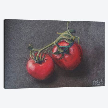 Sicilian Tomatoes From Life Canvas Print #OEV54} by Oksana Evteeva Canvas Wall Art